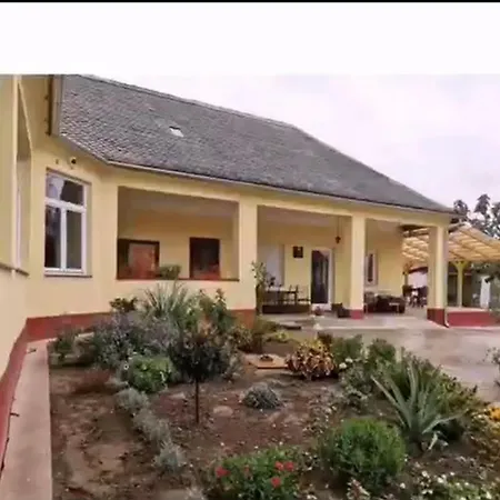 The Blue Guest house *